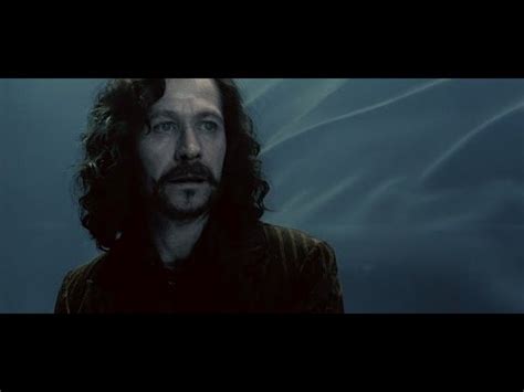 how does sirius black die|how was sirius black killed.